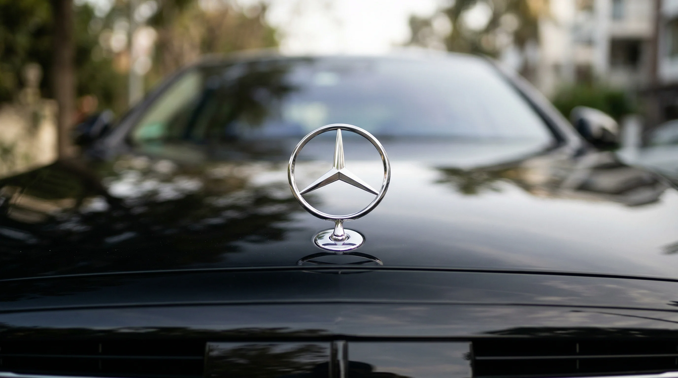 Bespoke Class vehicle detail